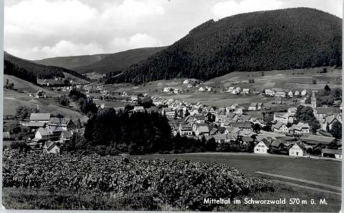 Mitteltal - ,