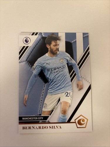 Bernardo silva panini - bernardo,