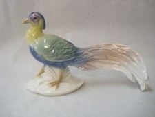 Ens - Vokstedt Fasan Hahn