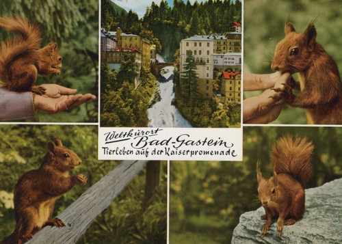 Ansichtskarte bad gastein - bad,