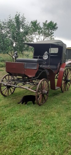 Wagonette pferdekutsche - wagonette,