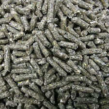 Berkel Chinchilla-Gold-KR 25kg