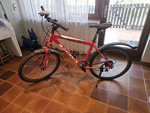 Mountainbike focus - mountainbike,