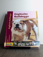 Englische bulldogge - englische,