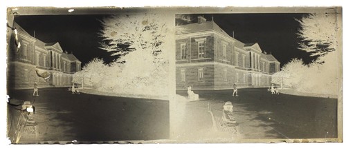 Große baumständer foto - große,