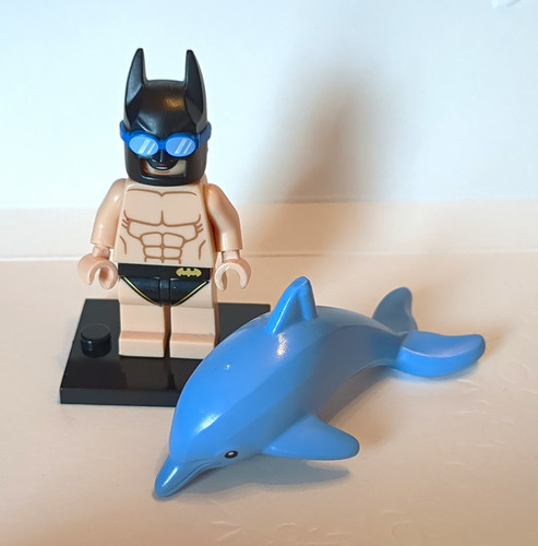 Lego swimmingpool batman - swimmingpool,