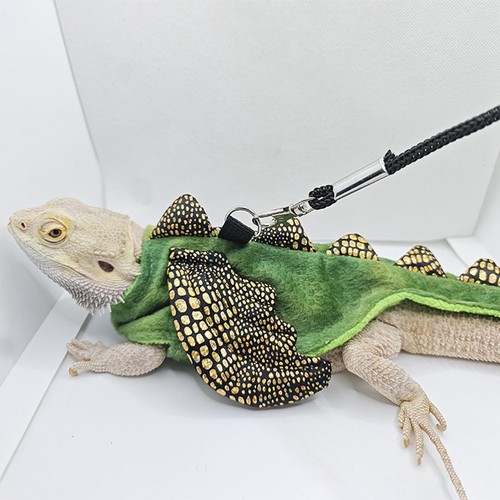 Reptilien-Leinengeschirr