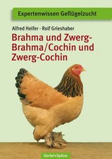 Brahma und Zwerg-Brahma /