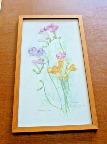 Altes aquarell von rose - altes,