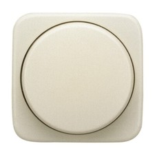 Busch Jaeger Duro 2000 SI