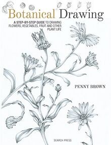 Botanical drawing a - drawing:,