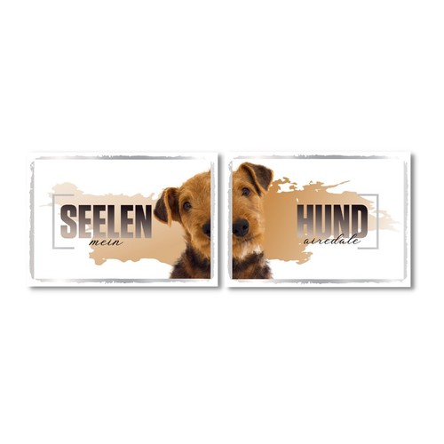 Airedale terrier seelenhund - airedale,