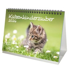 Katzenkinderzauber DIN A5