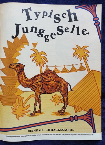 Camel filter zigaretten - ,