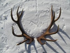 Starke Abwurfstange Paar