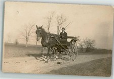 10712968 - Einspaenner Kutsche