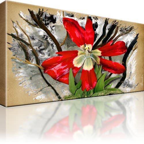 Tulpe blumen bild bilder - bild,