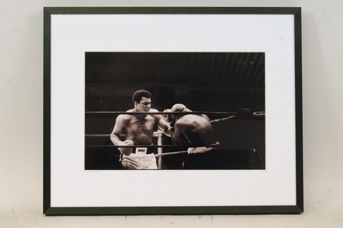 Muhammad ali earnie - ali,