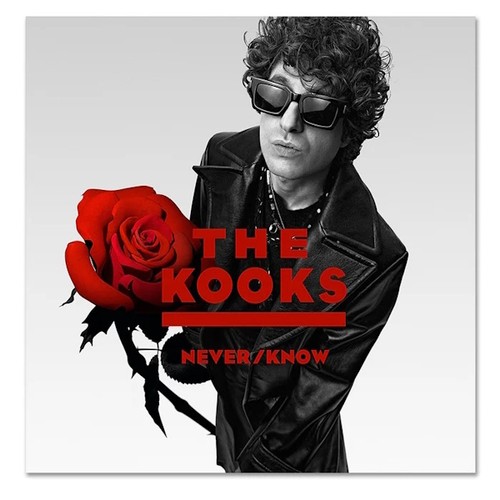 The kooks never - kooks,