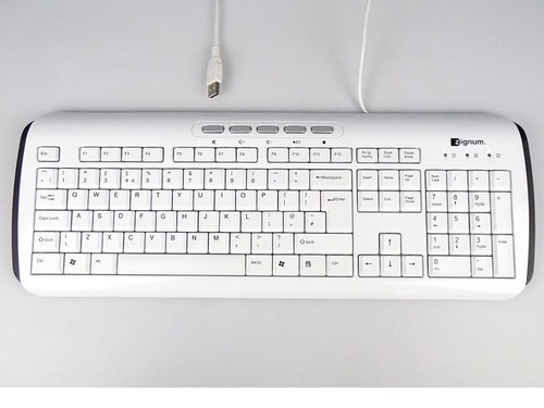 Zignum usb tastatur keyboard - zignum,
