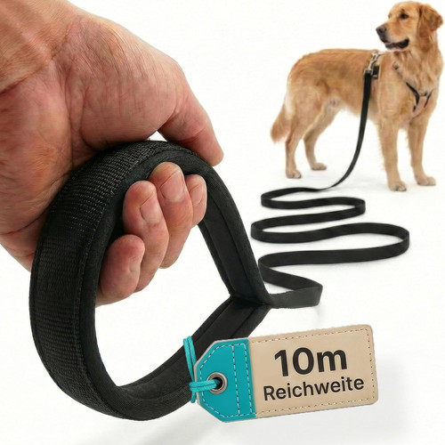 Hund ist könig schleppleine - kÖnig,