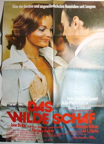 Filmplakat das wilde - wilde, a1