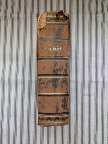 Antike textbibel 1899 shabby - antike,