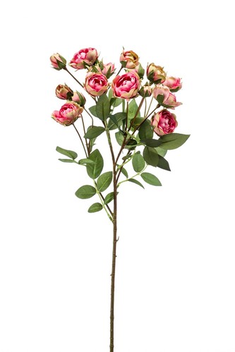 Artplants dekozweig rosen - artplants,