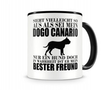 Dogo Canario mein bester