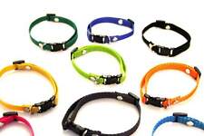 Halsband Führleine Starter Set Verstellbar 18 - 32  Premium Katzen Welpen Hunden