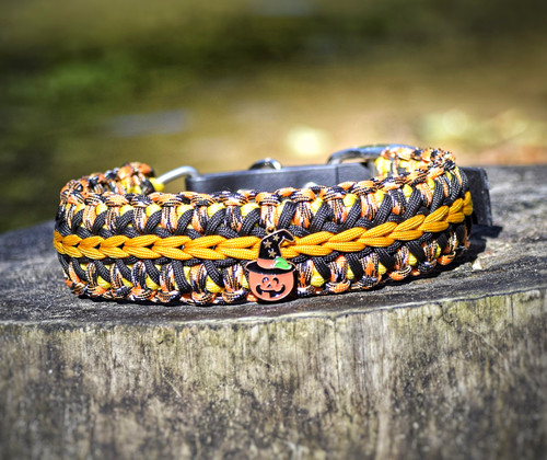 Paracord hundehalsband - paracord,