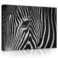 Canvas leinwand bilder xxl - bilder,