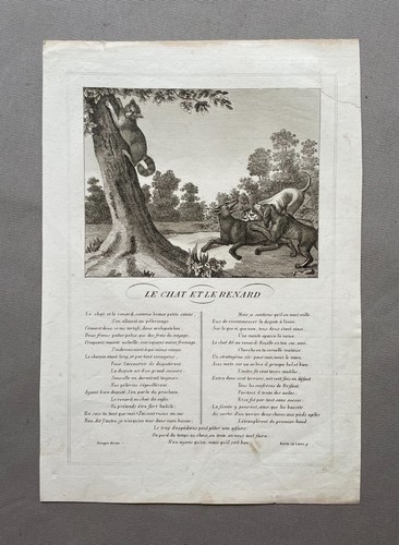 Die katze und der - katze, fuchs