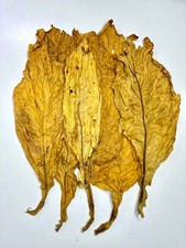 Virginia Gold Tabakblätter