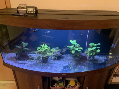 Komplett aquarium 450l - aquarium, inkl