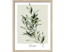 Gerahmtes Bild Oliven 33x43 cm