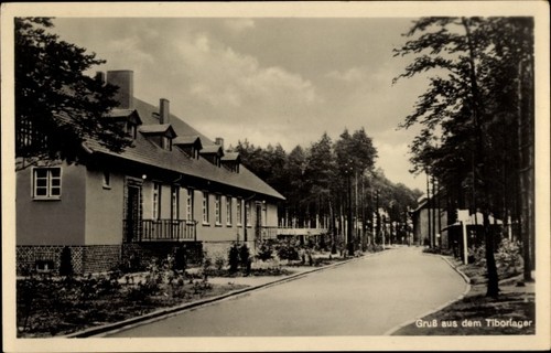 świebodzin schwiebus - Świebodzin,