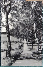 POSTKARTE ANSICHTSKARTE BAD WÖRISHOFEN BIRKENWEG