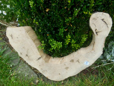 Baumscheibe Astscheibe