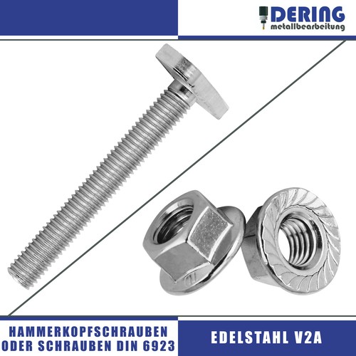 Edelstahl hammerkopfschrauben - edelstahl,