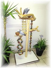  Papageienspielzeug, Freisitz