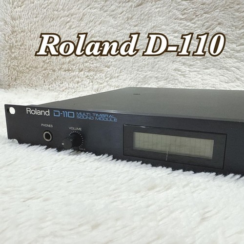 Roland 110 synthesizer - roland, d-110