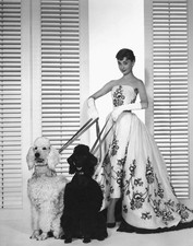 Audrey Hepburn Fotoposter mit