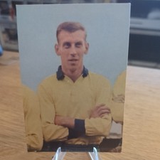 Bergmann Verlag WM Mexico 1970