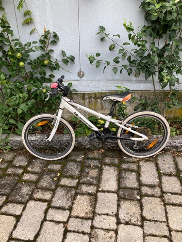 Kinderfahrrad steppenwolf - kinderfahrrad, 20