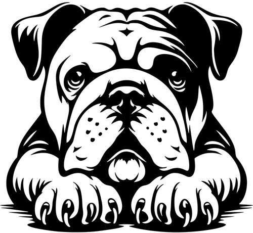 Englische bulldogge aufkleber - englische,