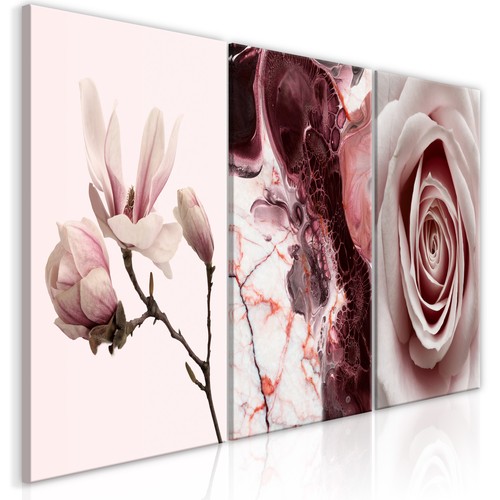 Blumen rosa magnolie natur - rosa,