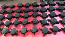 Bakelitdose | Aufputz