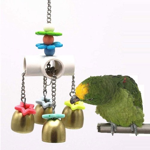 Papagei vogel kauspielzeug - papagei,