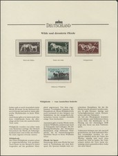 Wilde und dressierte Pferde